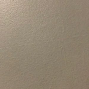 Meet your Posher, Selma